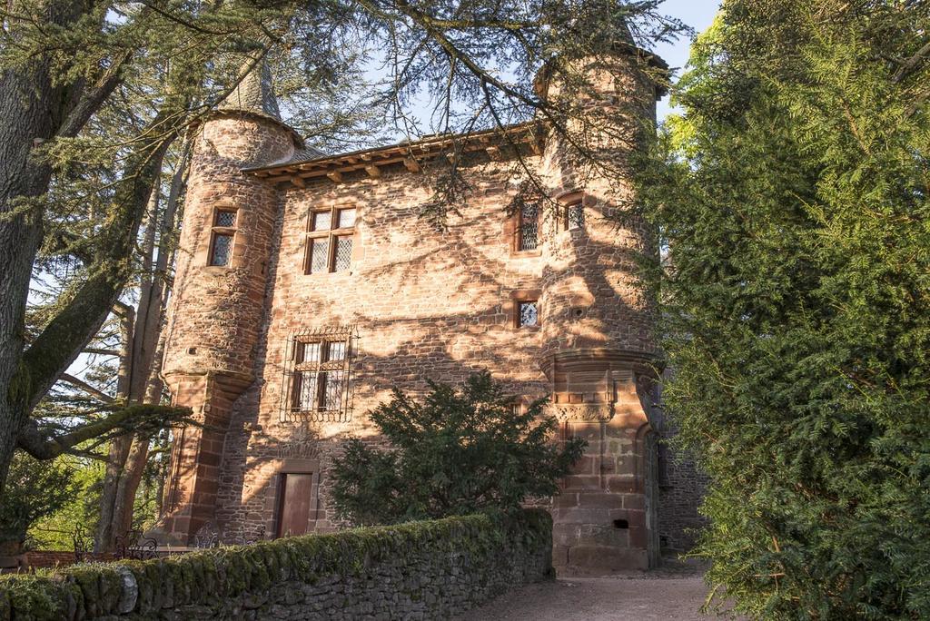 Chateau De Canac Rodez Eksteriør billede